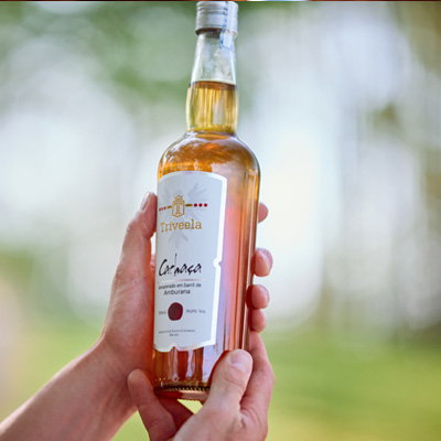 ASoqsTZh-FineWines_Steingarten_Riesling_43x2